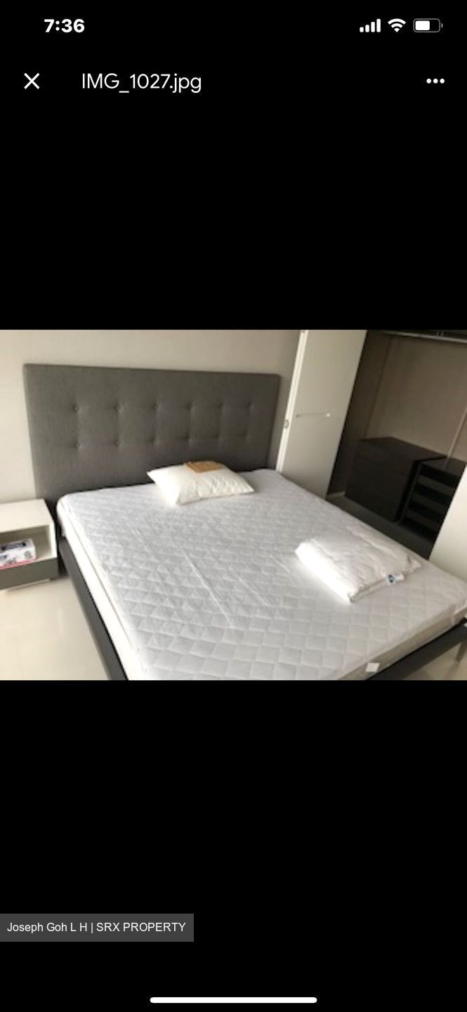 Scotts Square (D9), Apartment #378249671